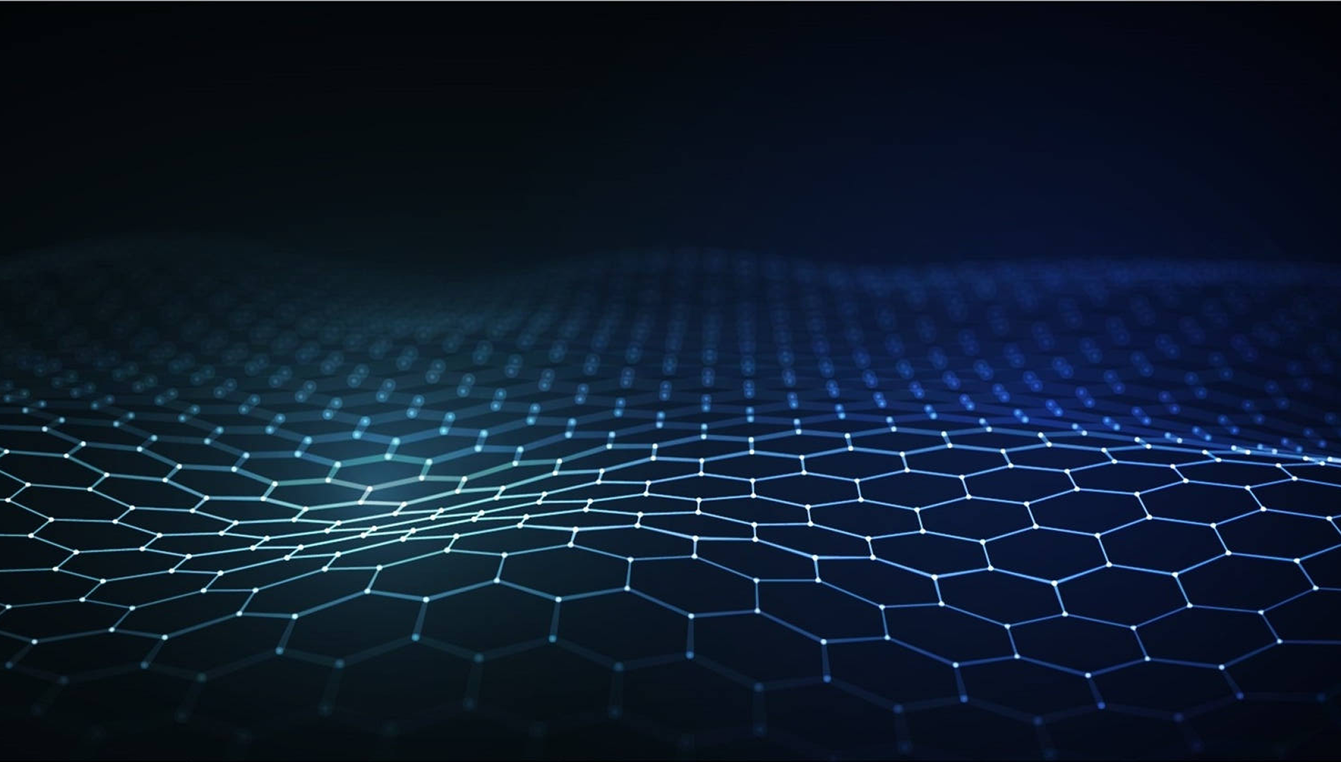 慧安蜂巢内容页